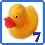 Duck no. 7